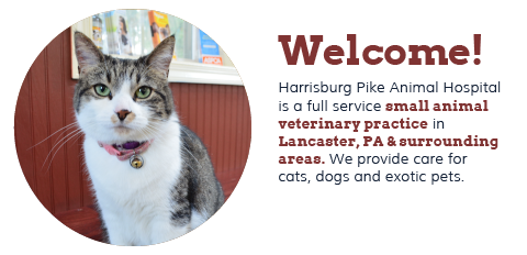 Harrisburg Pike Animal Hospital, LLC - Lancaster, PA