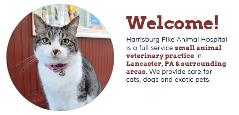 Harrisburg Pike Animal Hospital, LLC - Lancaster, PA Harrisburg Pike Animal Hospital, LLC - Lancaster, PA